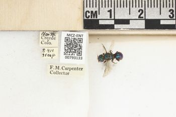 Media type: image;   Entomology 793133 Aspect: Labels